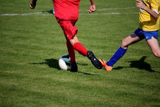 mk体育官网-篮球训练计划科学制定及执行效果跟踪研究，简述篮球训练计划制定步骤